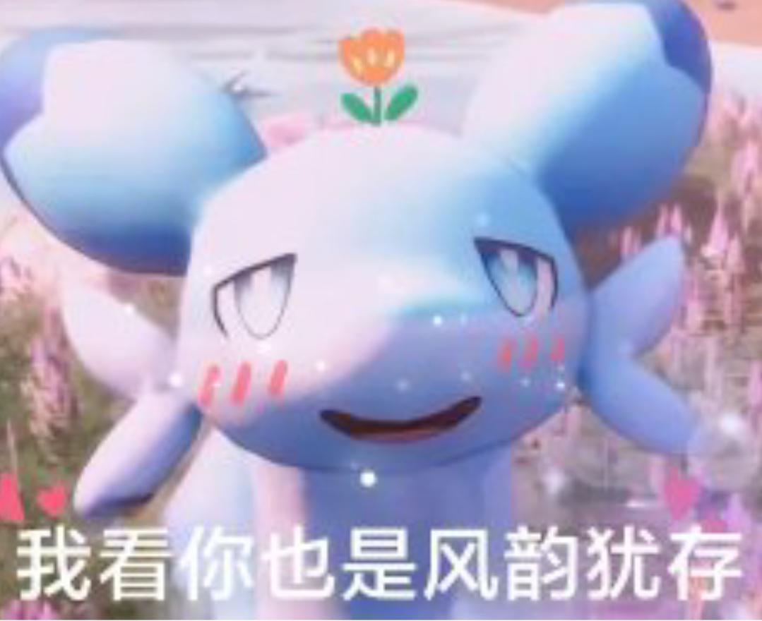 [图片]