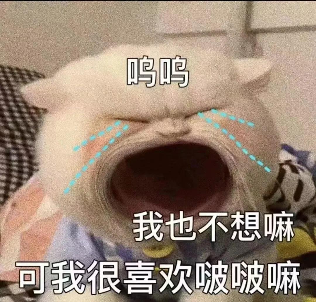 [图片]