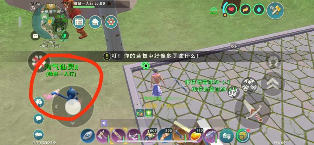 [图片]