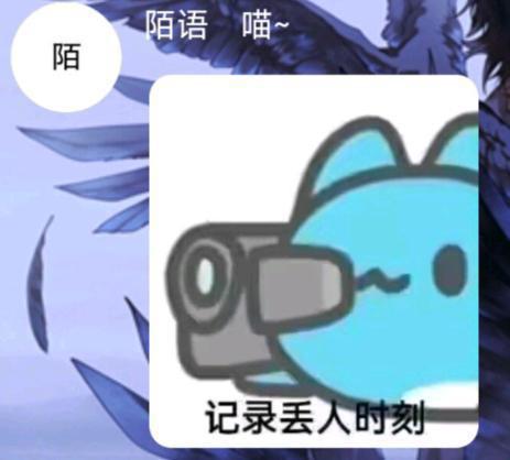[图片]