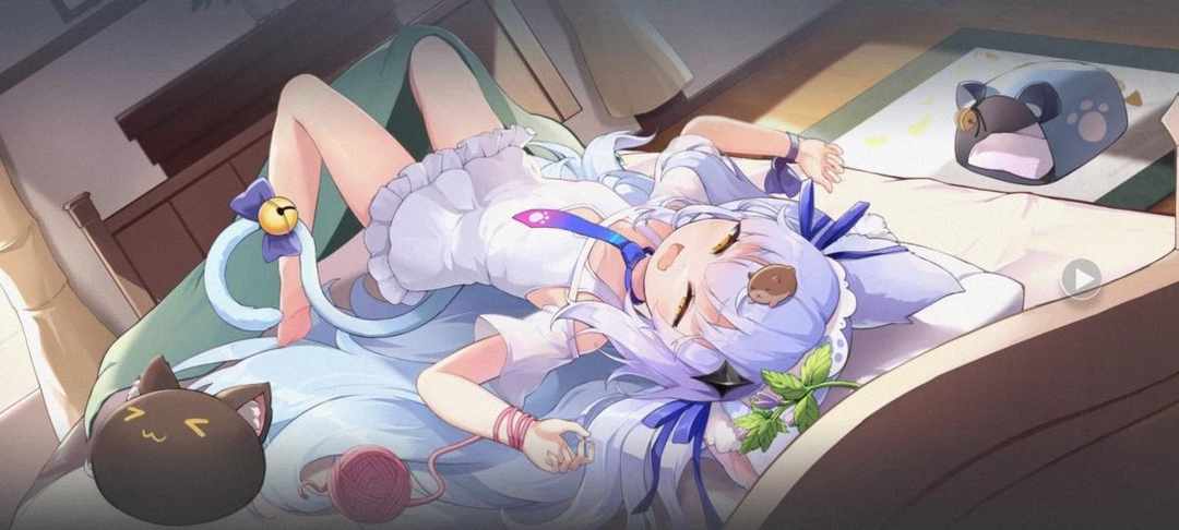 [图片]