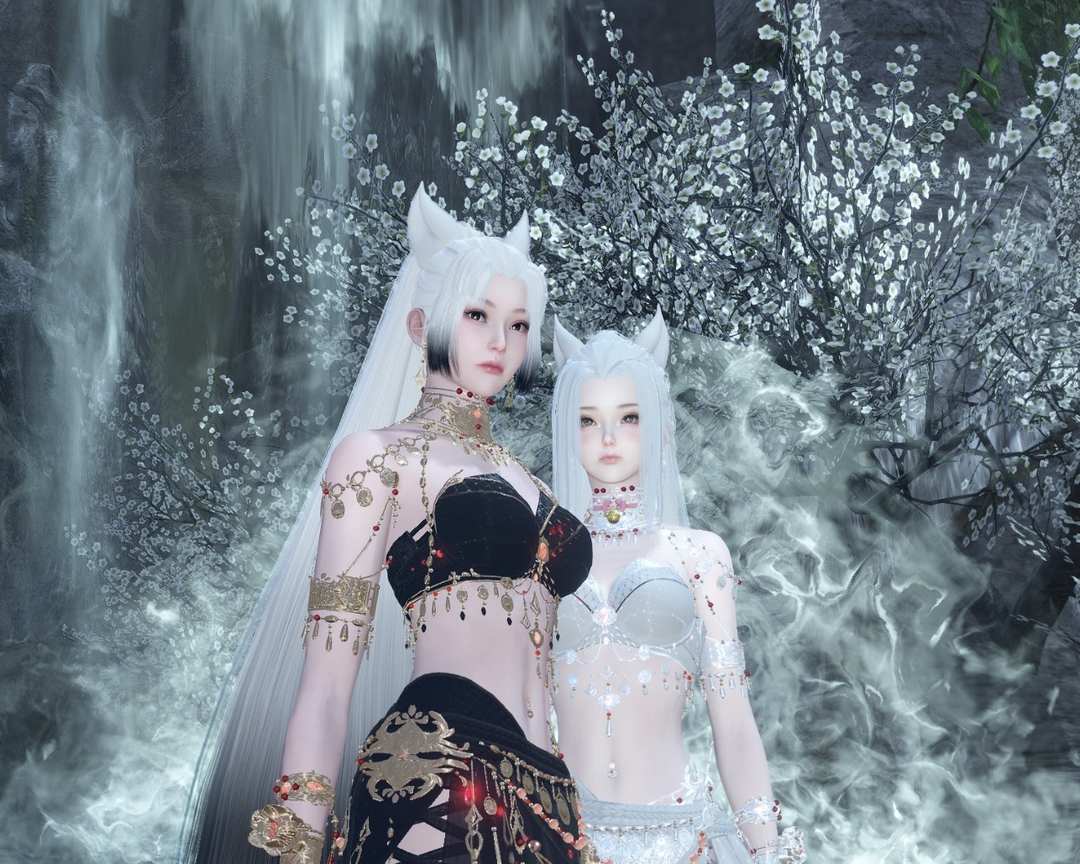 [图片]