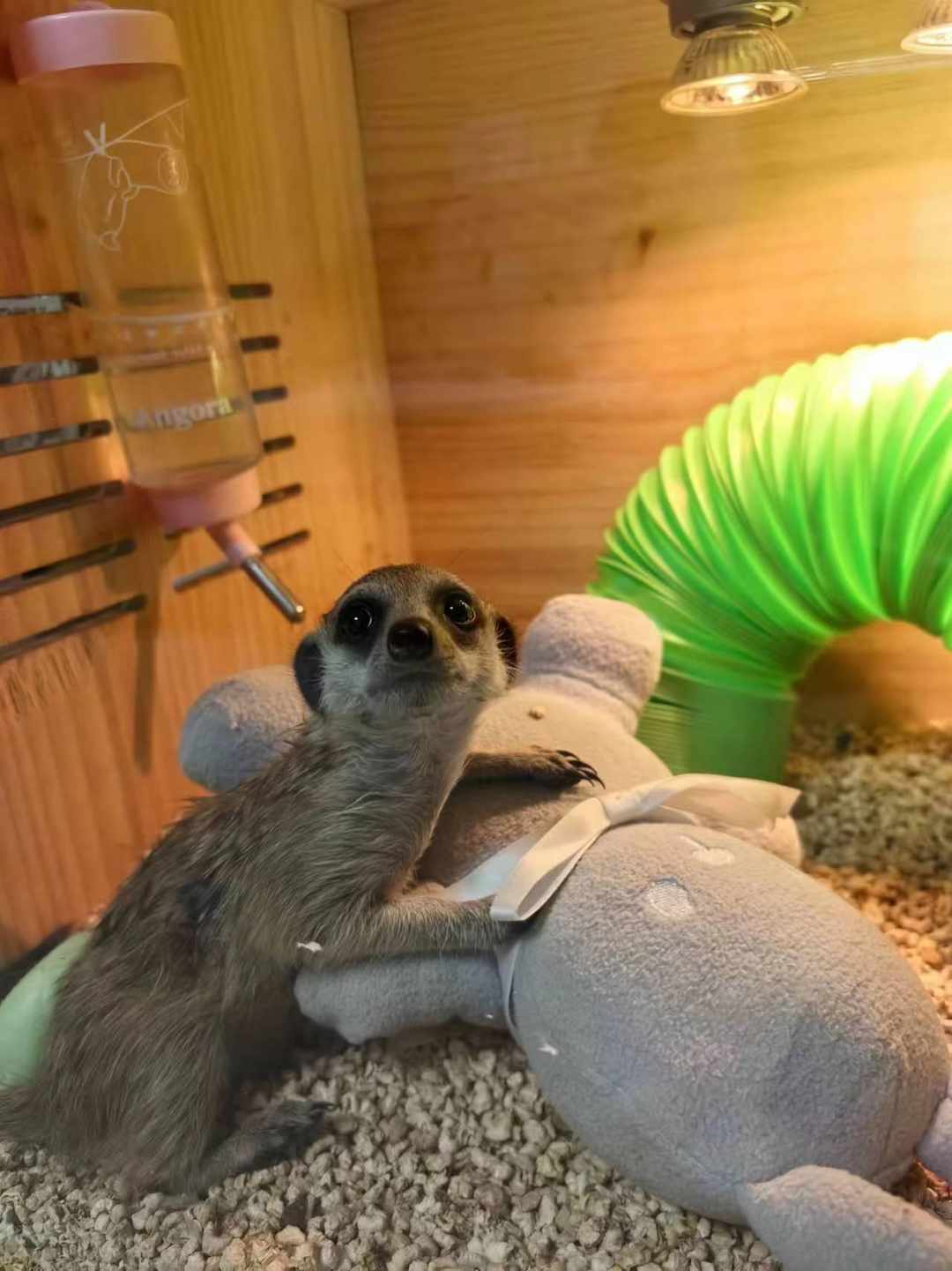 [图片]