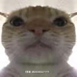 [图片]