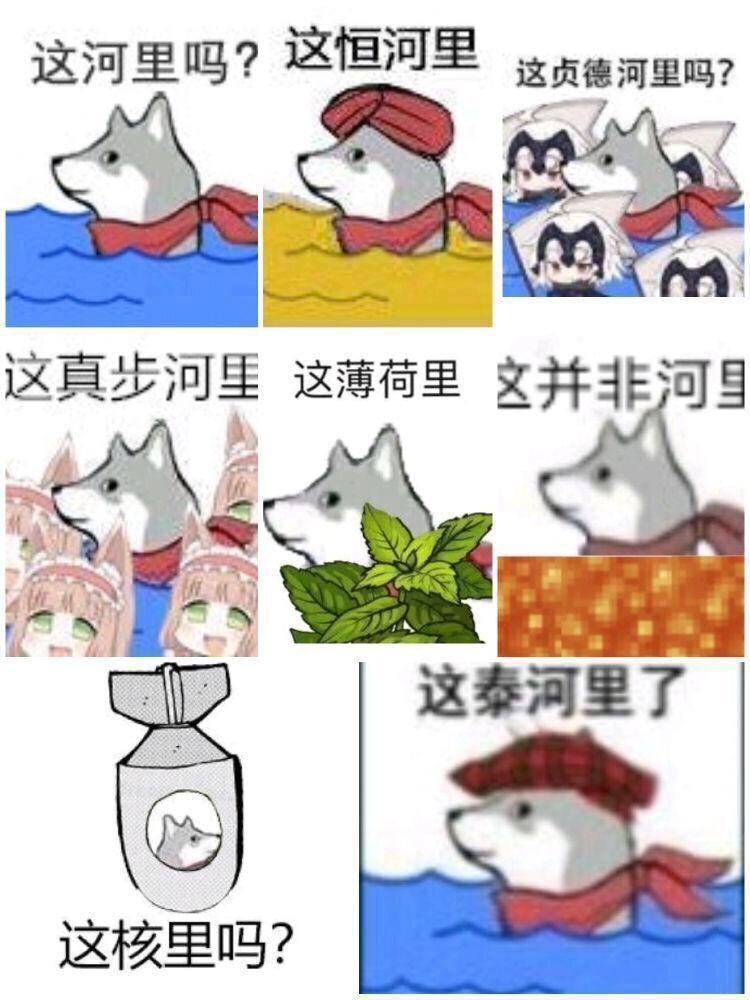 [图片]