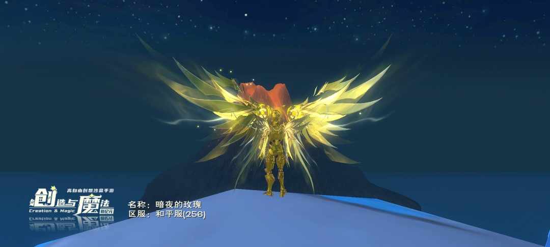 [图片]