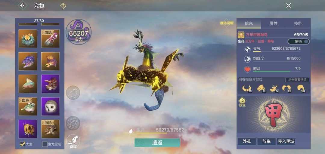 [图片]