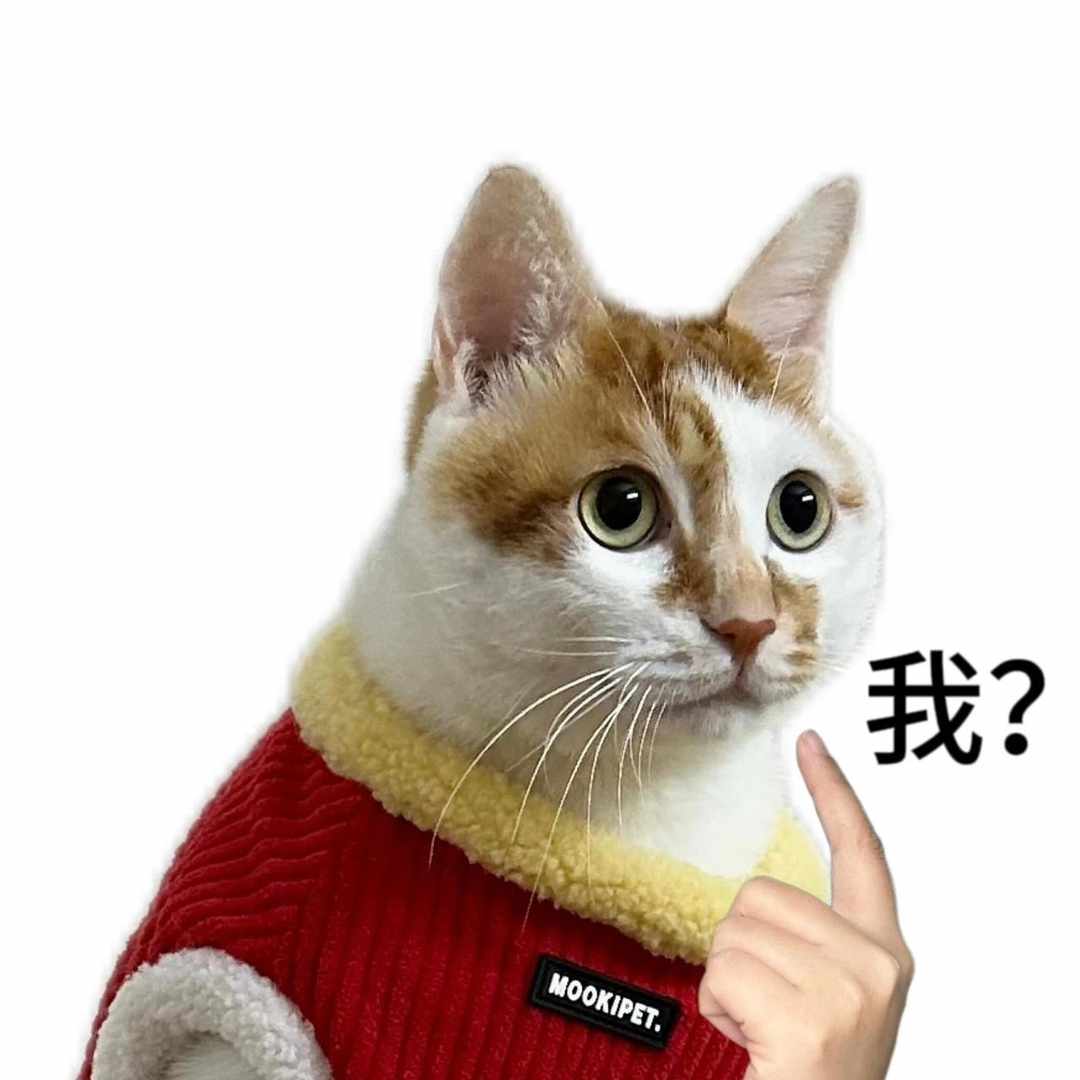 [图片]