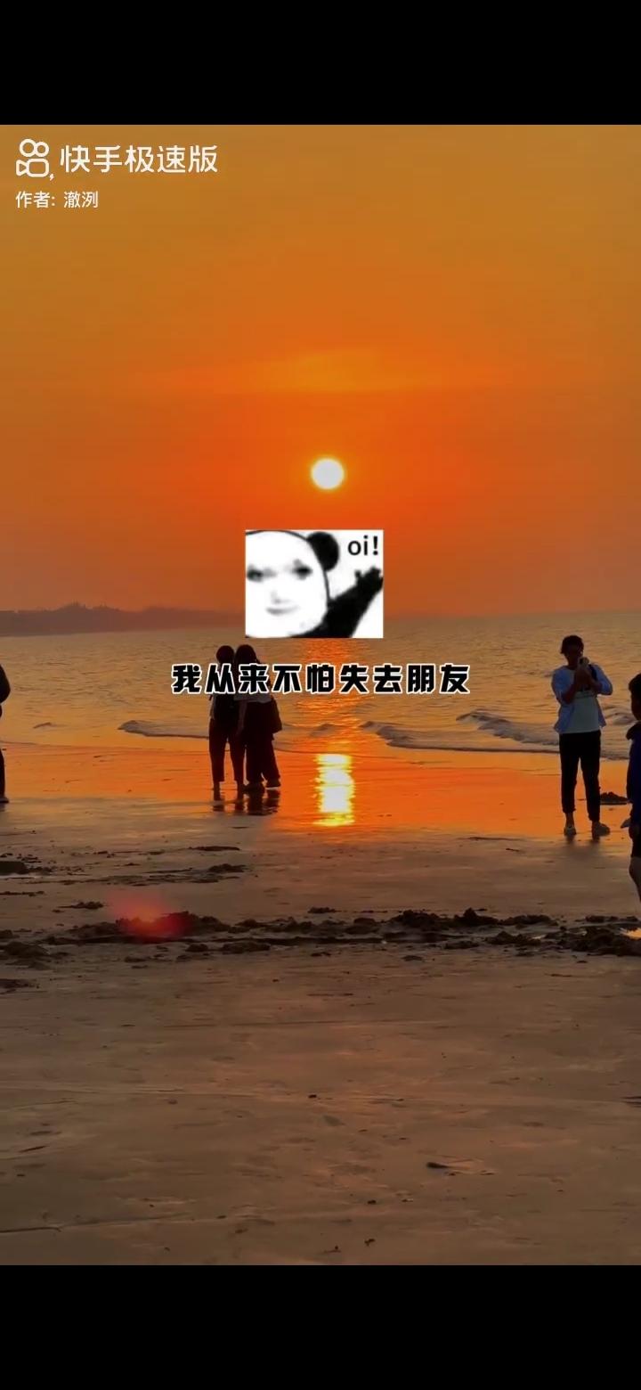 [图片]