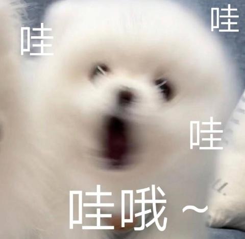 [图片]