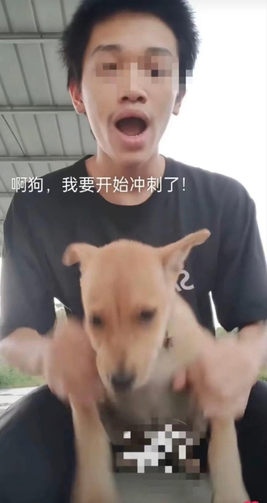 [图片]