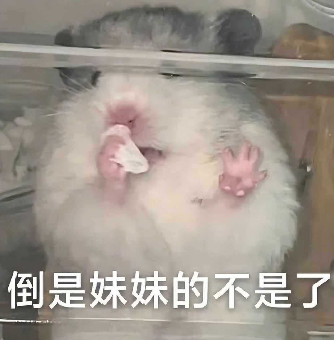[图片]