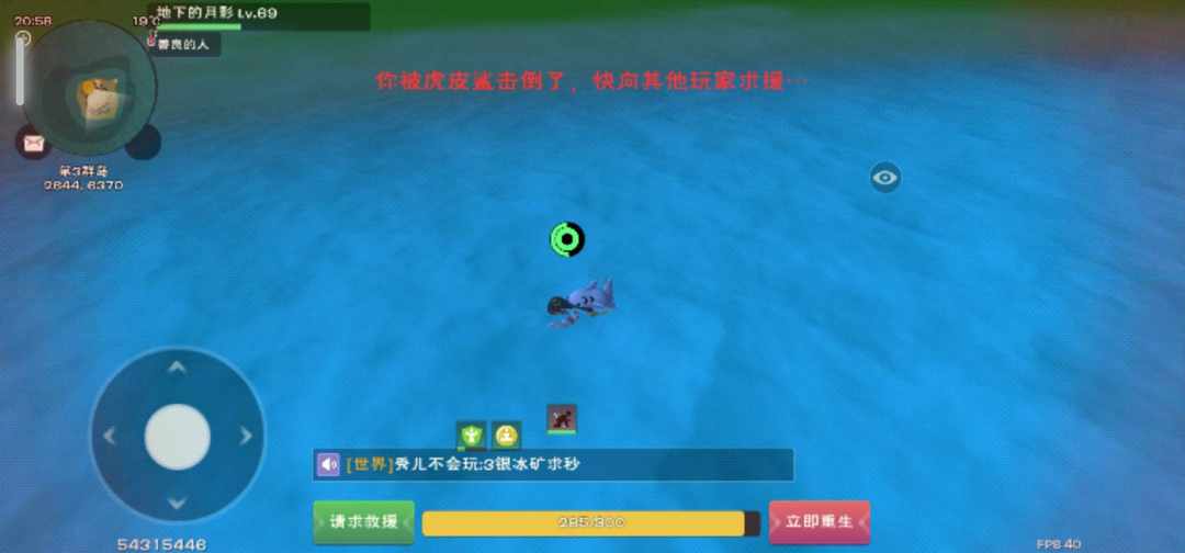 [图片]