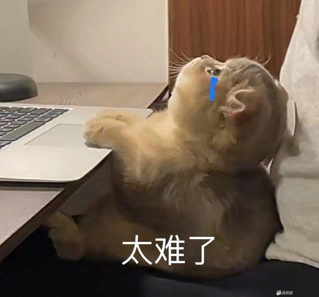 [图片]