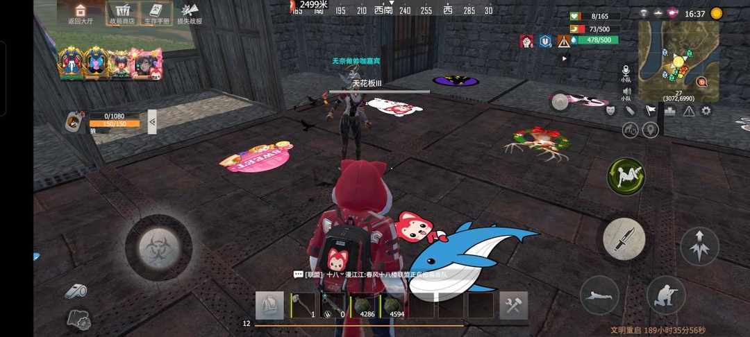 [图片]