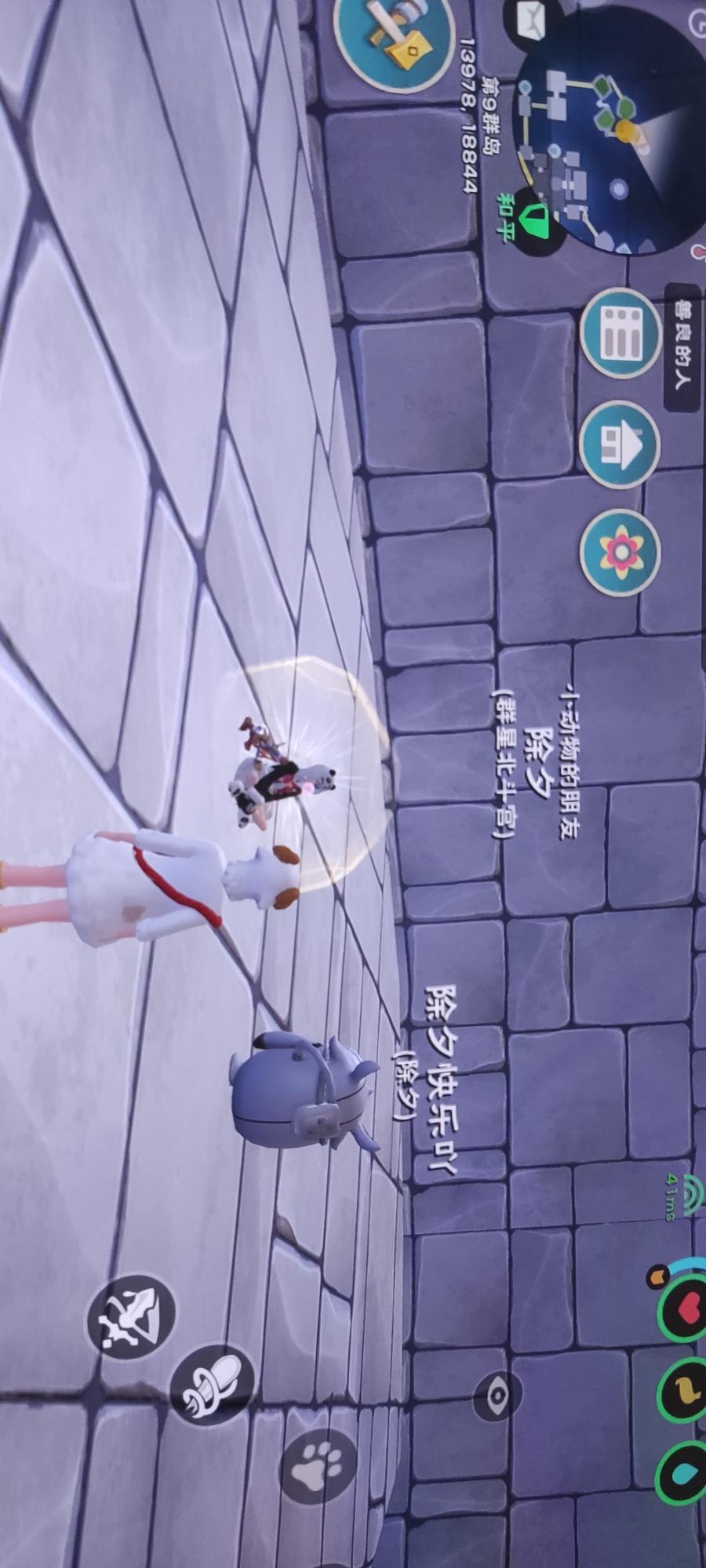 [图片]