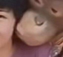 [图片]