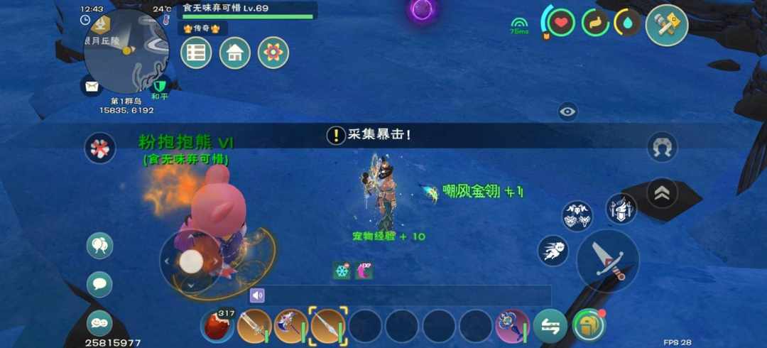 [图片]