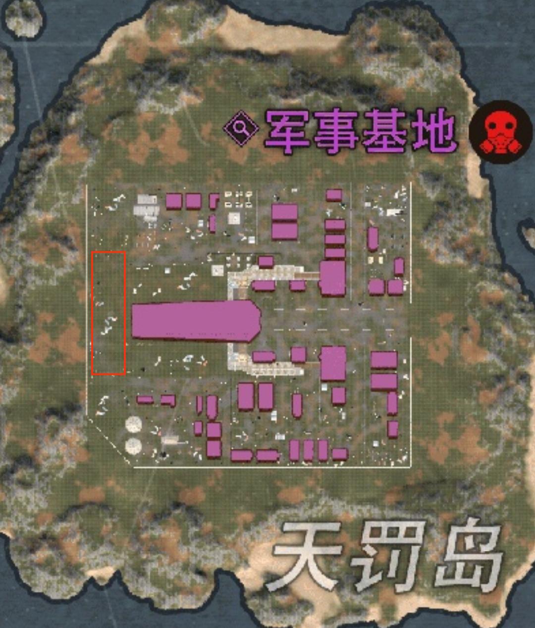 [图片]
