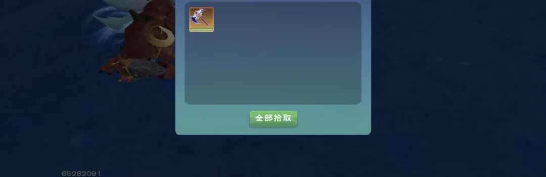 [图片]