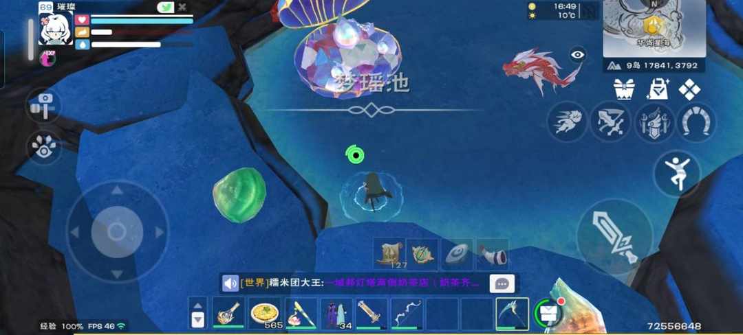 [图片]