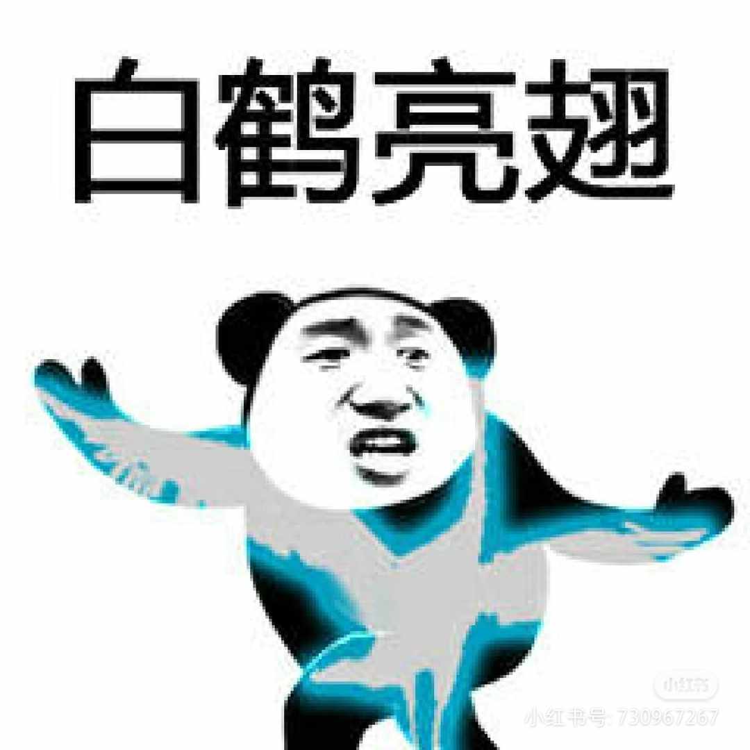 [图片]