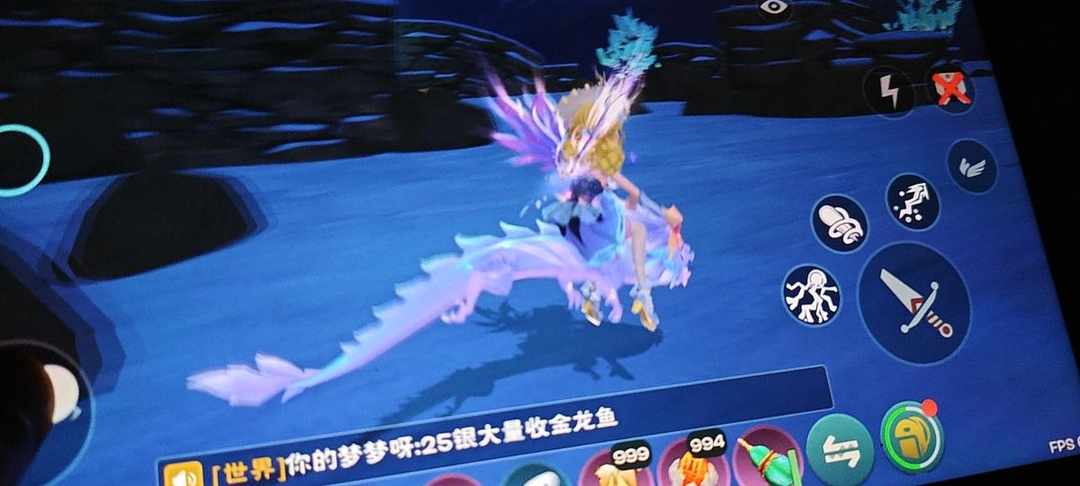 [图片]
