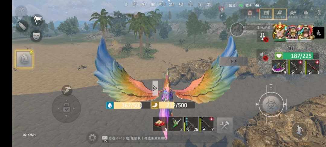 [图片]