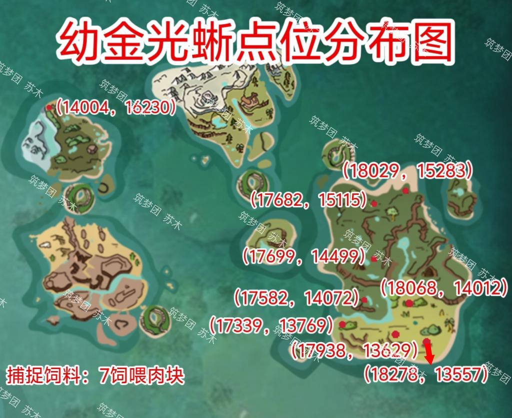 [图片]