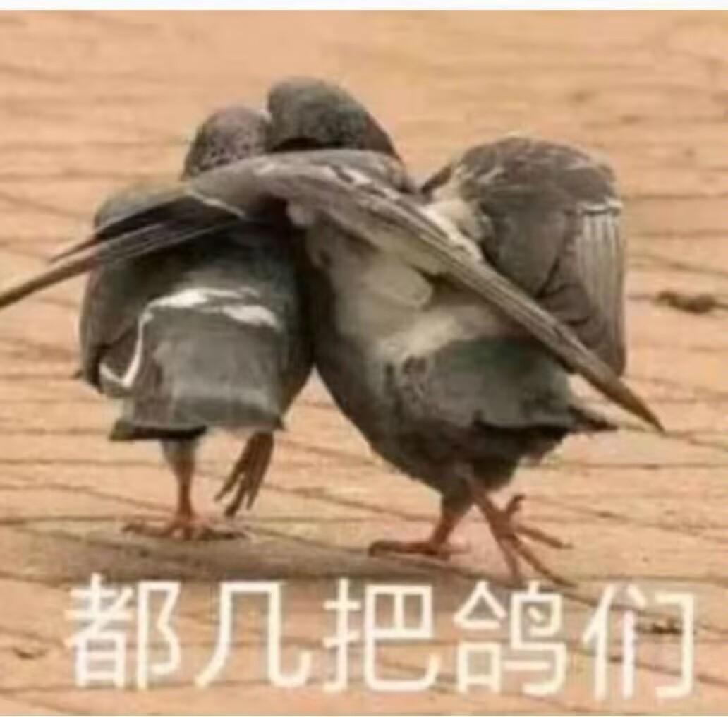 [图片]