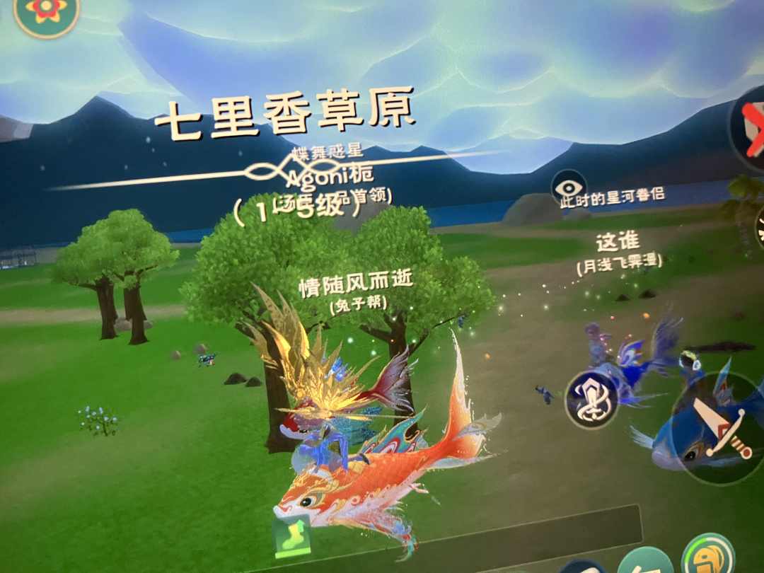 [图片]