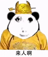 [图片]