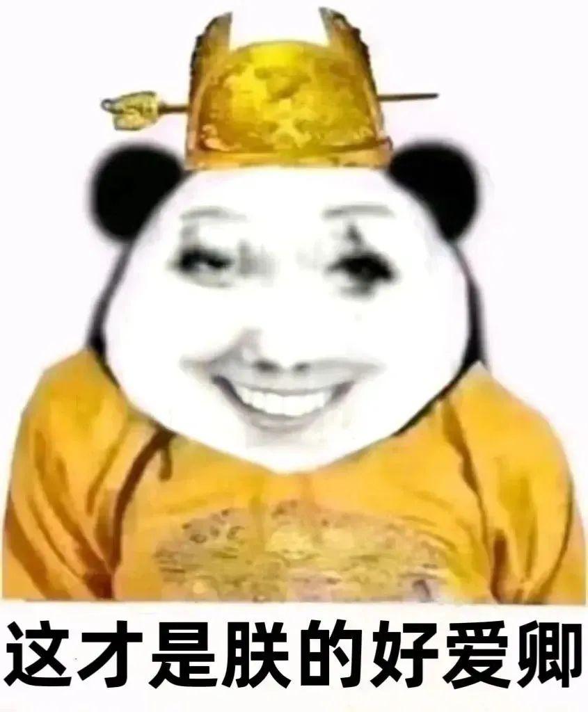 [图片]