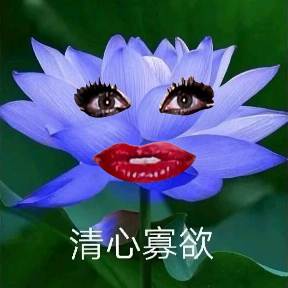 [图片]