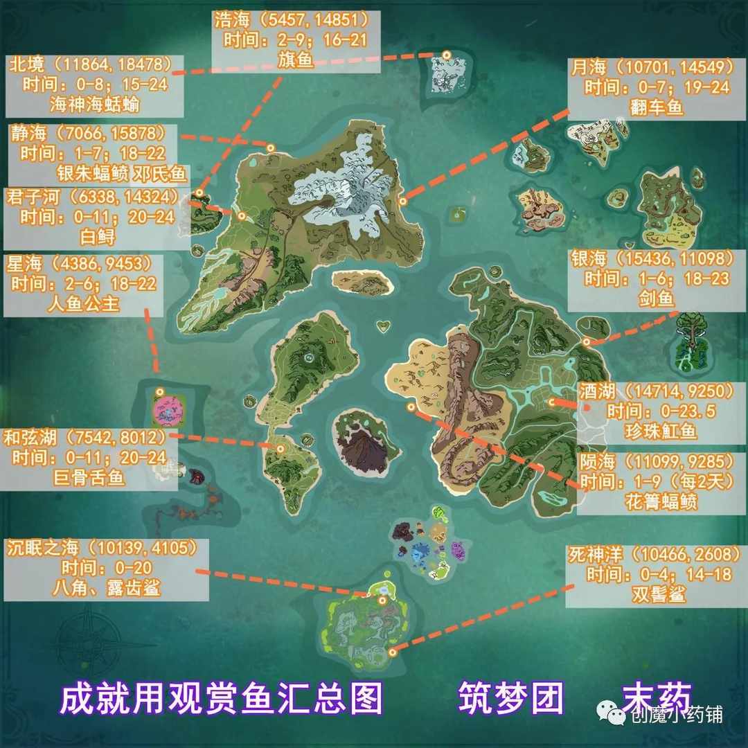 [图片]