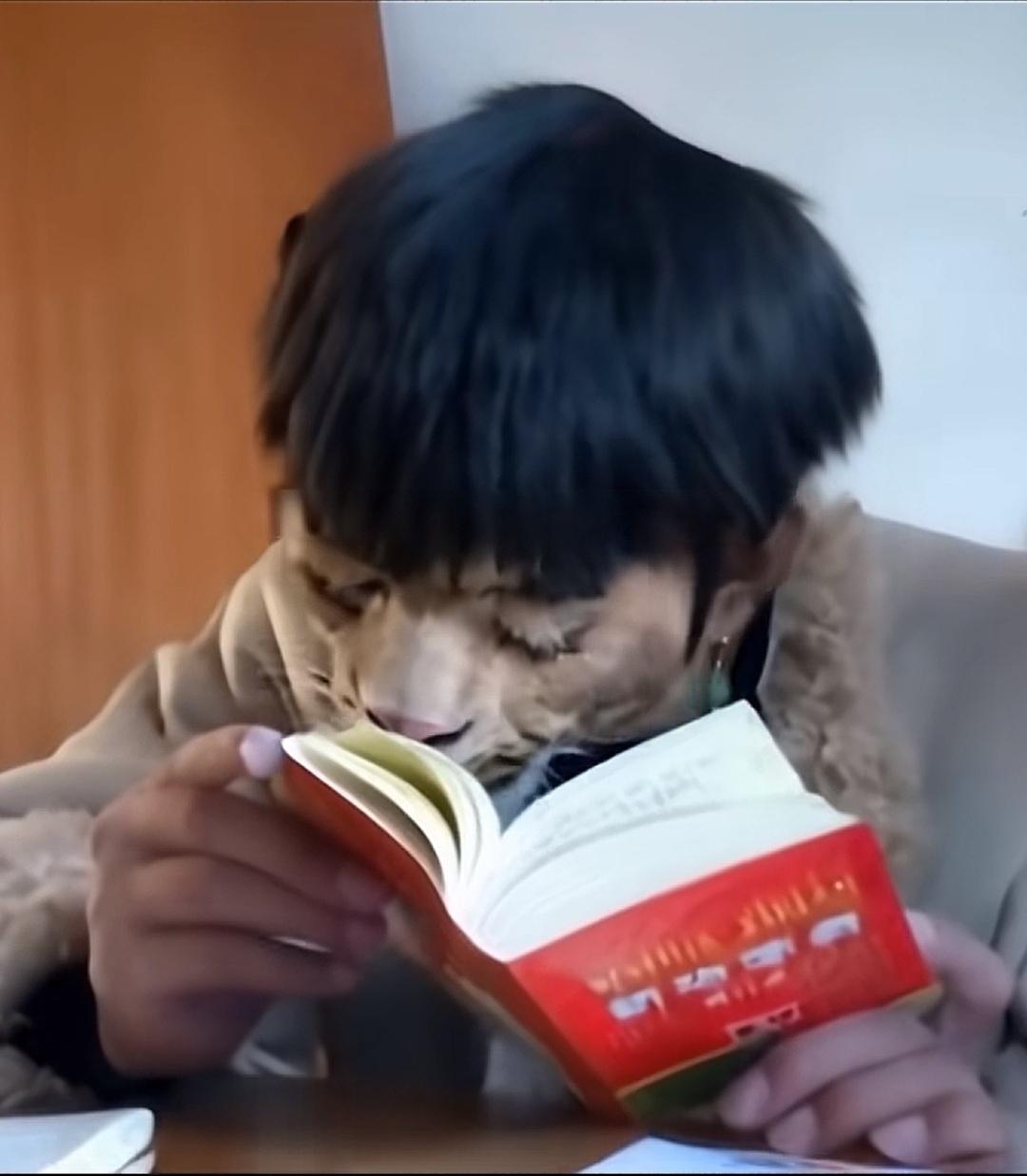 [图片]