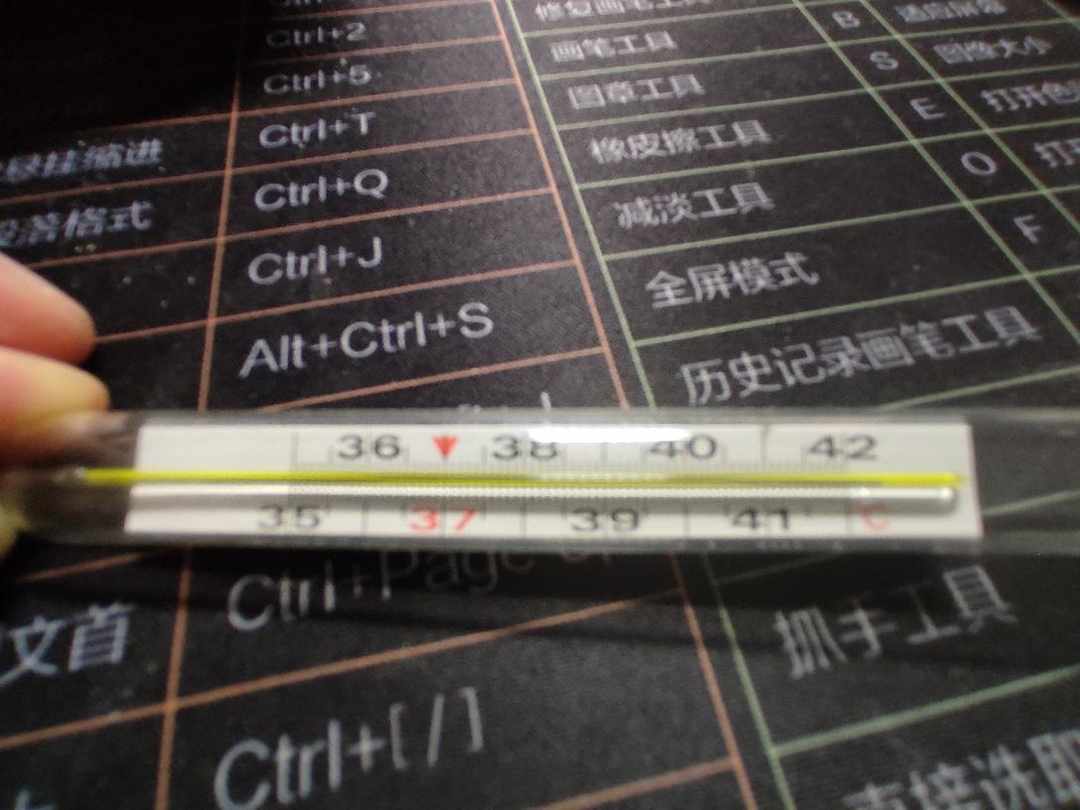 [图片]