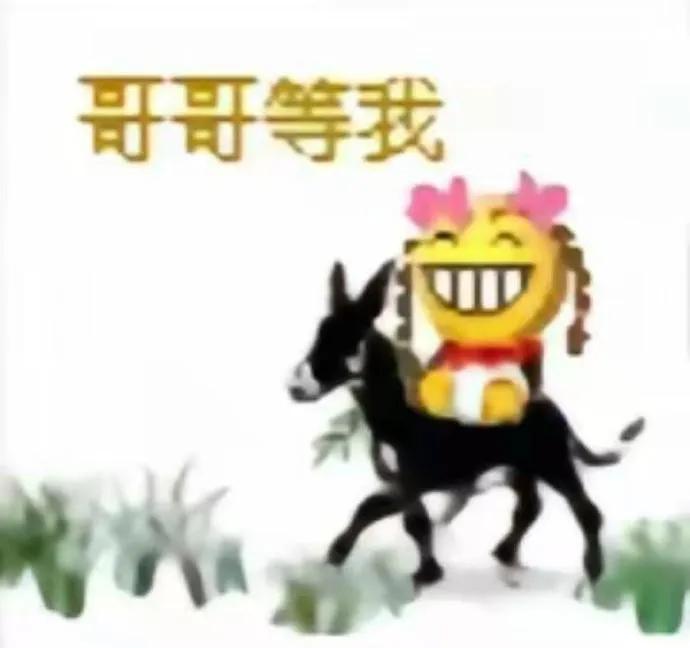 [图片]