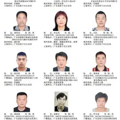 [图片]
