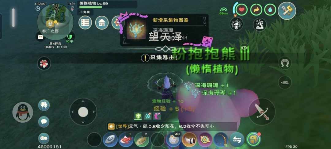 [图片]