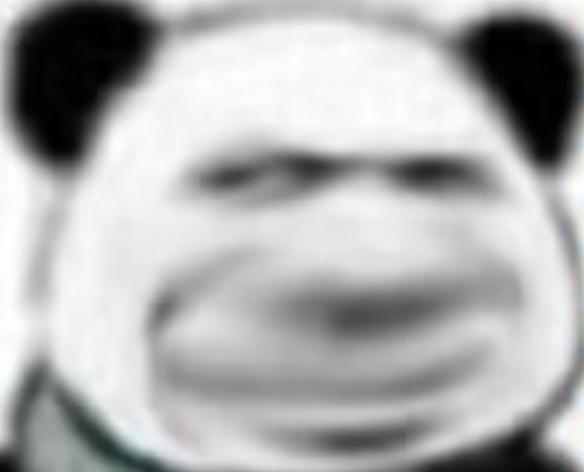 [图片]