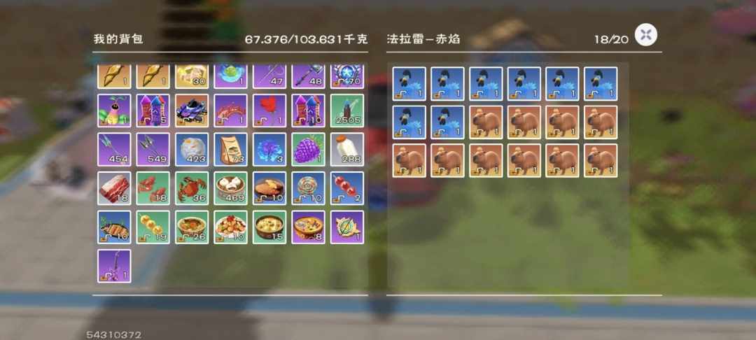 [图片]