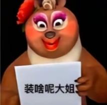 [图片]