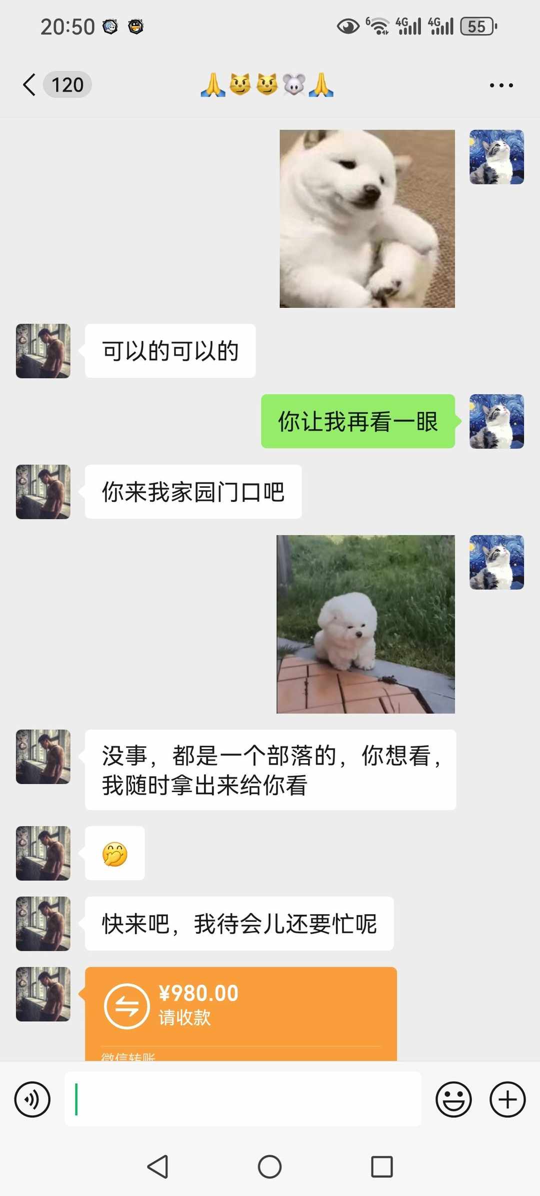 [图片]