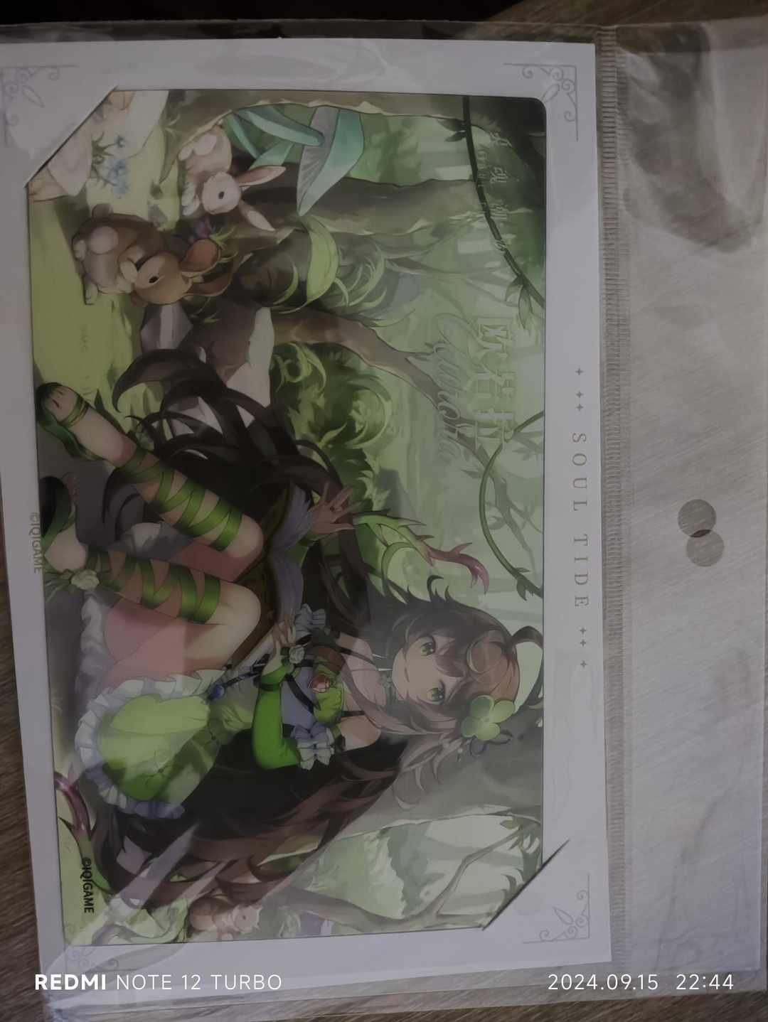 [图片]