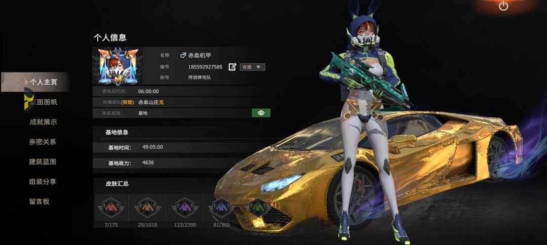[图片]