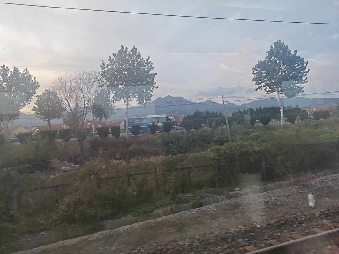 [图片]