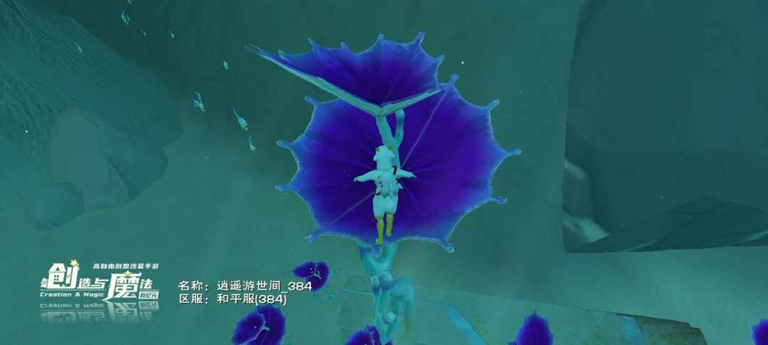 [图片]
