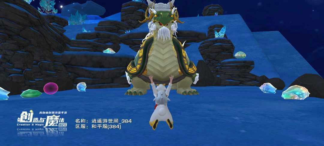 [图片]
