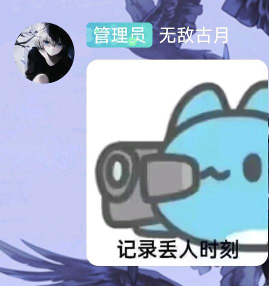 [图片]